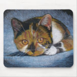 CROUCHING CAT: COLOR PENCIL MOUSE PAD