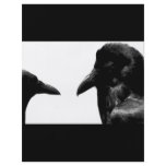 Crow and Raven flyers
