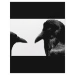 Crow and Raven letterhead