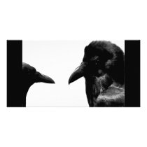 Crow and Raven Photo Cards