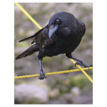 Crow at Crossroads letterhead by paulnsheryl Crow at Crossroads letterhead