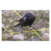 Crow at Crossroads stationery by paulnsheryl Crow at Crossroads stationery