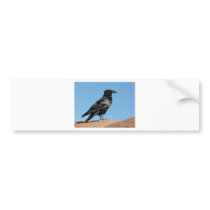 crow bumper stickers