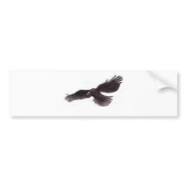 Crow bumper stickers