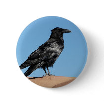 crow pins