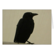 Crow Cards