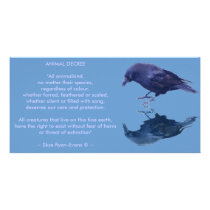 CROW Collection Customized Photo Card