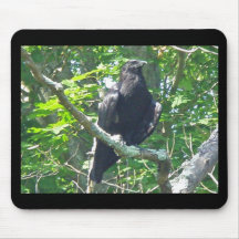 Crow Coordinating Items Mousepad