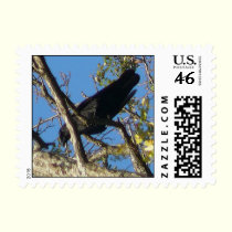 Crow Daddy postage
