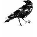 Crow Distressed t-shirts by tarilynquinn Crow Distressed t-shirts