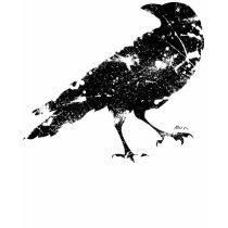 Crow Distressed t-shirts