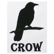 Crow flyers