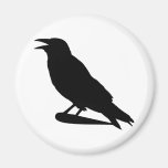Crow Fridge Magnets