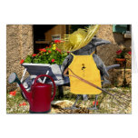 crow gardner cards