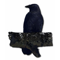 CROW GUARDIAN t-shirts