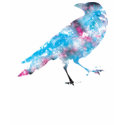 Crow in Awesome! t-shirts