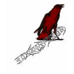crow - ladies t-shirts
