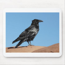 crow mouse pads