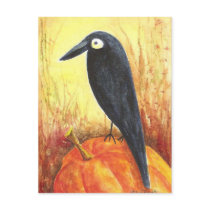 Crow on Pumpkin postcards