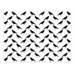 Crow Pattern. Post Cards