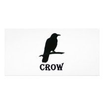 Crow photo cards