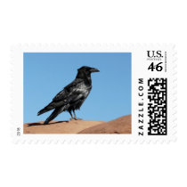 crow postage stamp
