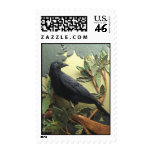 Crow Postage Stamps