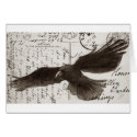 crow postcard background