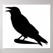 Crow Posters