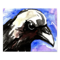 crow profile (close up) posters
