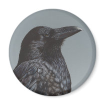 Crow Raven magnet