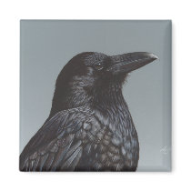 Crow Raven magnet