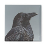 Crow Raven magnet