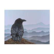 Crow Raven Postcard