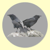 Crow Raven stickers
