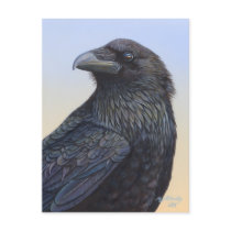 Crow Raven Sunset Painting Art Postcard