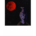 Crow Raven Total Lunar Eclipse T-shirt Tee