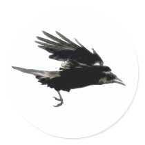 CROW Series stickers