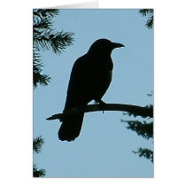 Crow Sitting in Tree cards