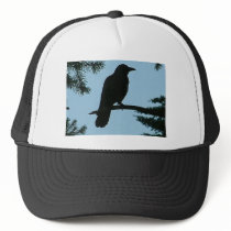 Crow Sitting in Tree hats