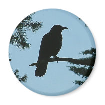 Crow Sitting in Tree magnets