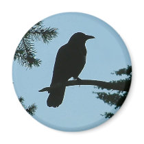 Crow Sitting in Tree magnets