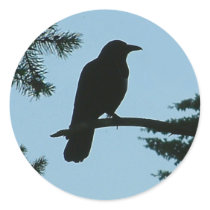 Crow Sitting in Tree stickers