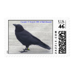 Crow Stamps