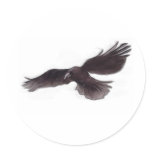 Crow Round Stickers
