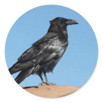 crow round stickers
