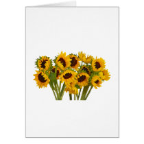 Crowd of Sunflowers cards