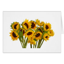 Crowd of Sunflowers cards