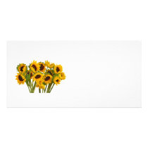 Crowd of Sunflowers photo cards