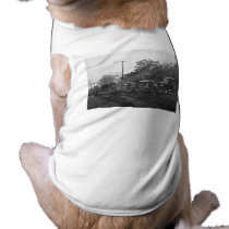 Crowley Ford Auto& Tractor Sales- Vintage ca. 1920 pet clothing by scenesfromthepast Crowley Ford Auto& Tractor Sales- Vintage ca. 1920 pet clothing